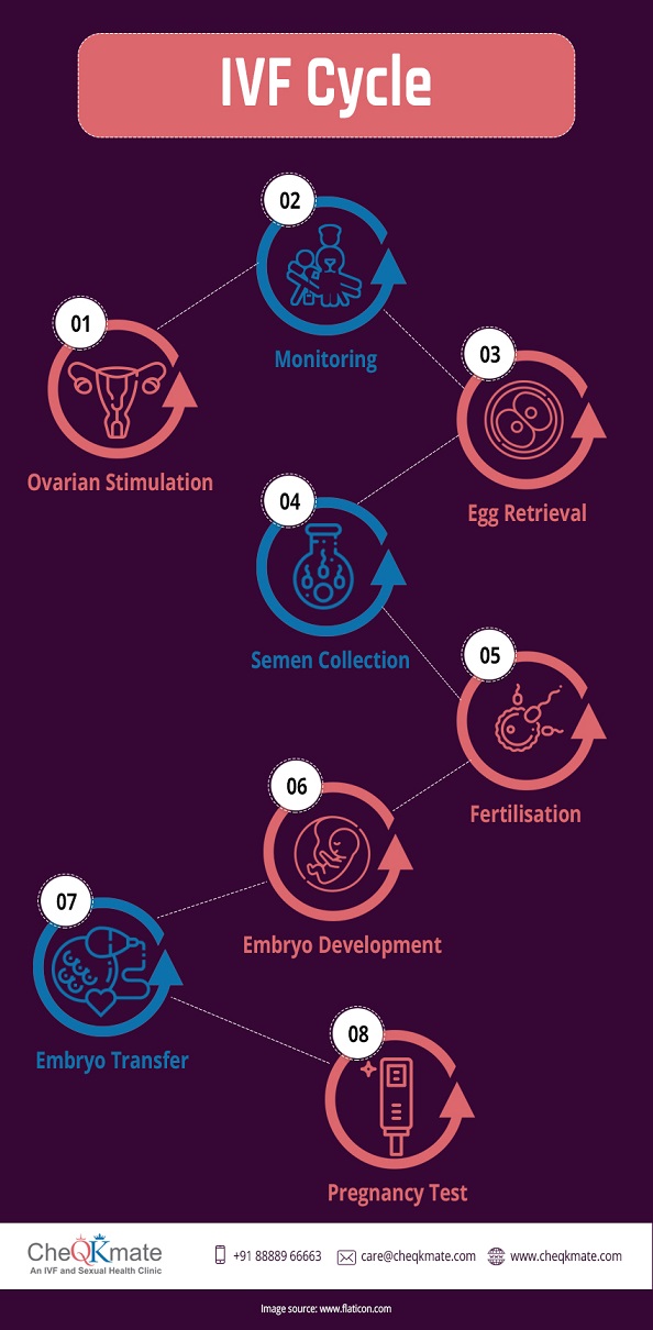 IVF Treatment Cycle